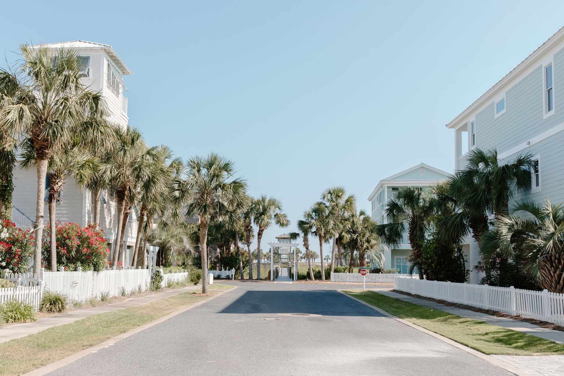 Quiet Florida residential street lined with sabal palms and white beach homes